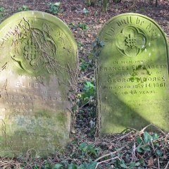 ALDRIDGE Ellen 1865 and Frances Elizabeth MOORE 1861